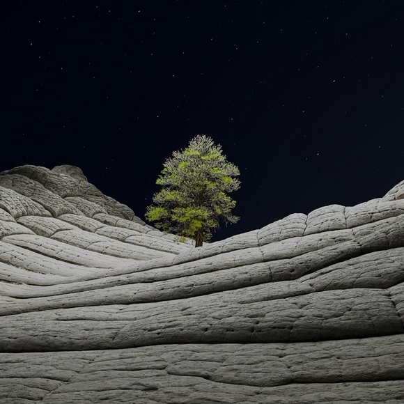 Meet your Posher, Randy - Picture 1 of 1